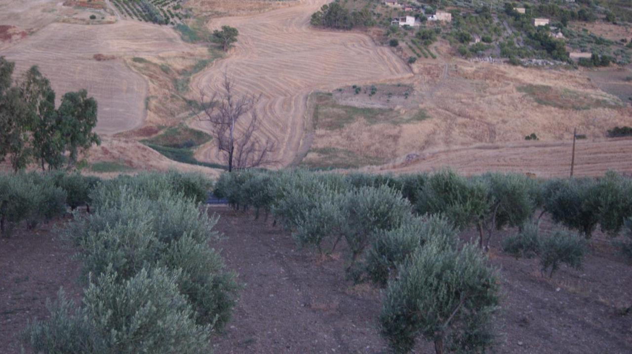 B&B Eyexei Domus Agrigento Dış mekan fotoğraf